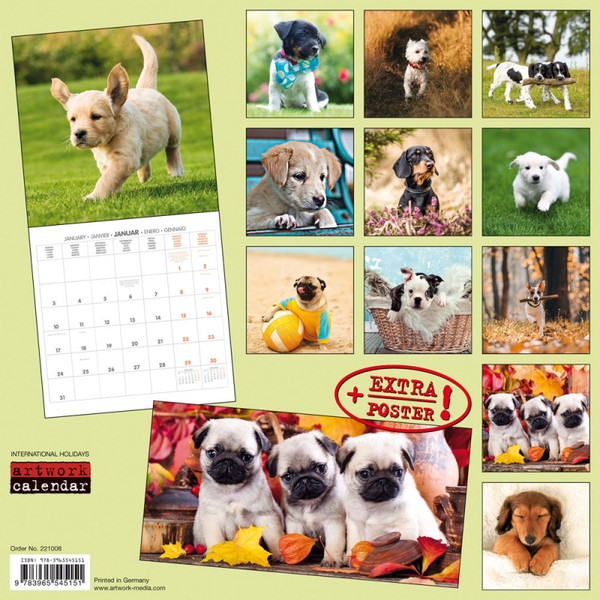 Бумажная книга «Календарь на 2022 Puppy Dogs - Hundewelpen» - фото №1