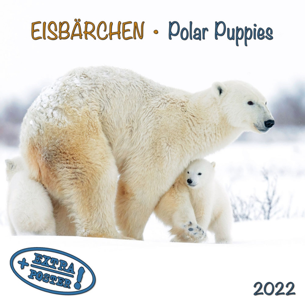 Паперова книга «Календар на 2022 Polar Bears - Eisbärchen» - фото №1