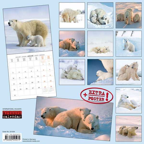 Паперова книга «Календар на 2022 Polar Bears - Eisbärchen» - фото №1