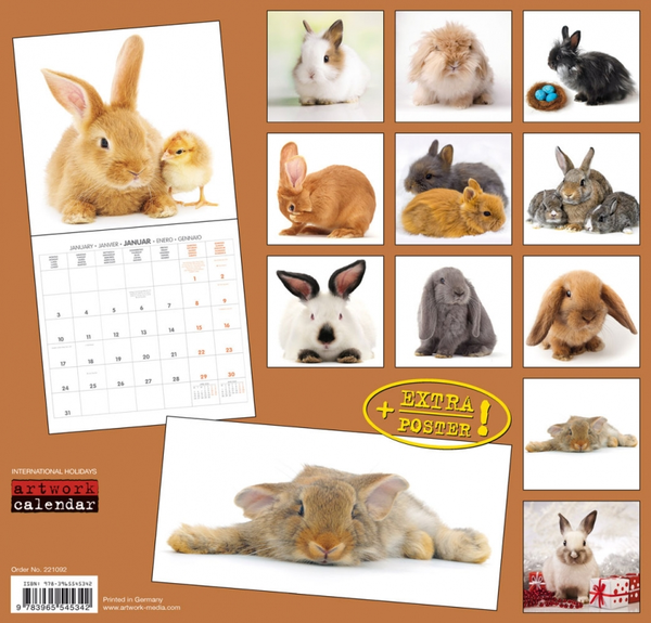 Паперова книга «Календар на 2022 Rabbits - Kaninchen» - фото №1