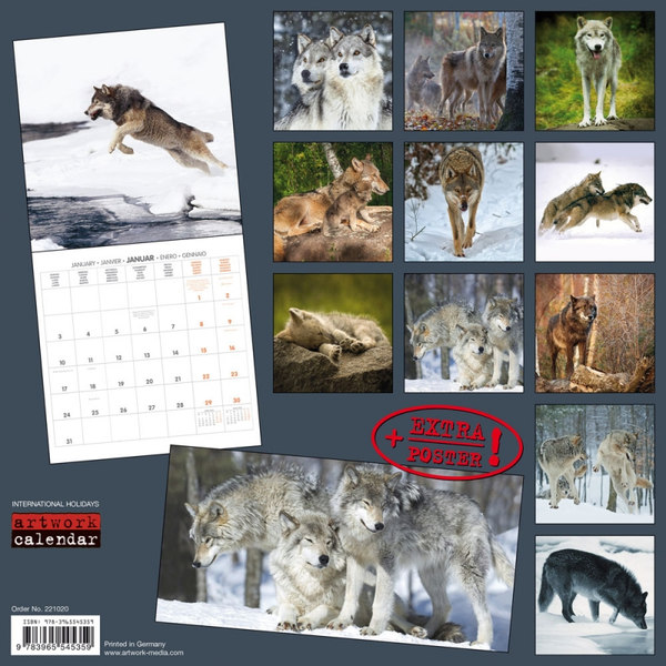 Бумажная книга «Календарь на 2022 Wolves - Wölfe» - фото №1
