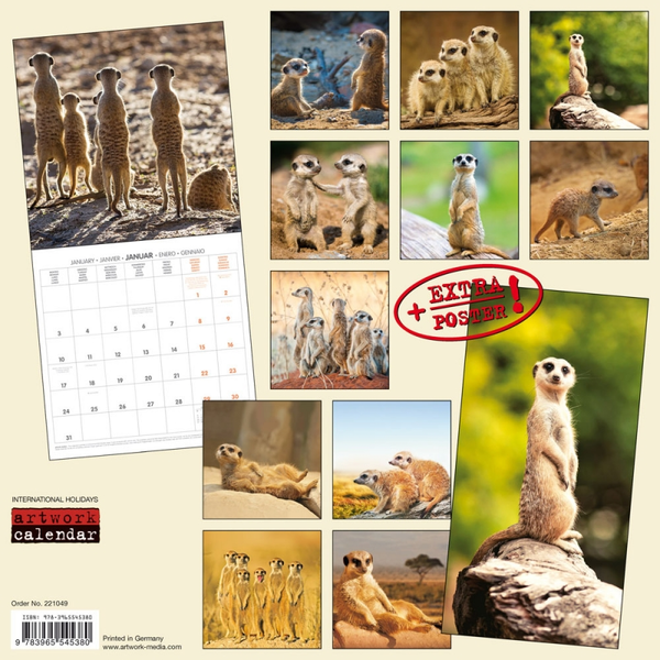 Бумажная книга «Календарь на 2022 Meerkats - Erdmännchen 2022» - фото №1