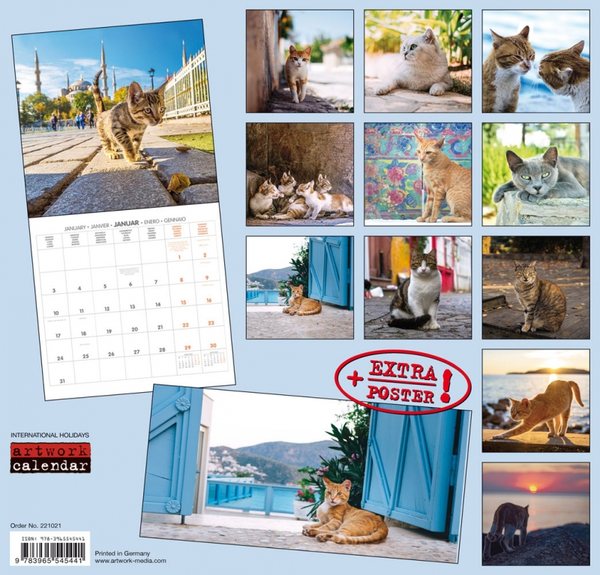 Бумажная книга «Календарь на 2022 Cats at the Bosperous - Katzen am Bosporus » - фото №1