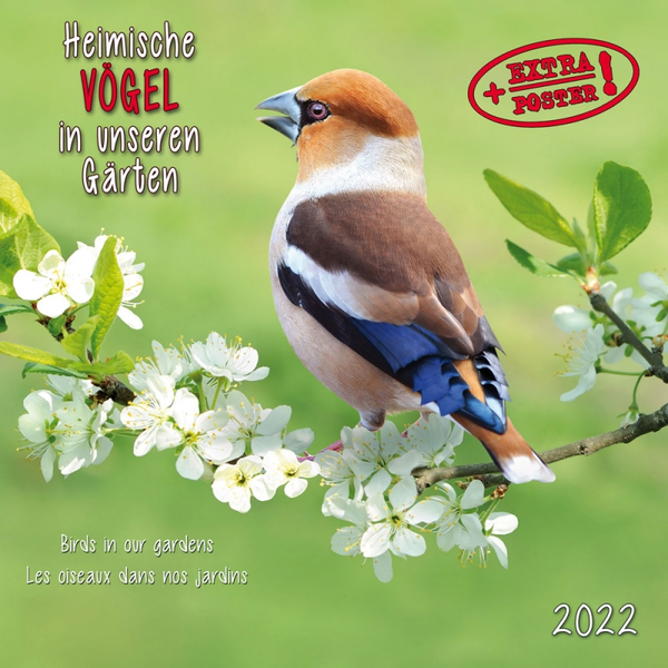 Бумажная книга «Календарь на 2022 Birds in our Gardens - Heimische Vögel» - фото №1
