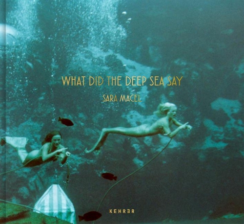 Бумажная книга «What Did The Deep Sea Say», автор Сара Макел - фото №1