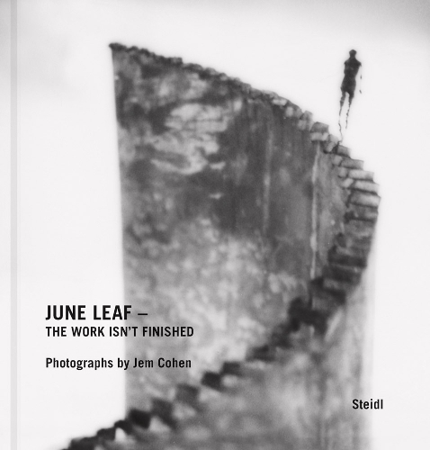 Бумажная книга «June Leaf – The Work Isn’t Finished», автор Джем Коэн - фото №1