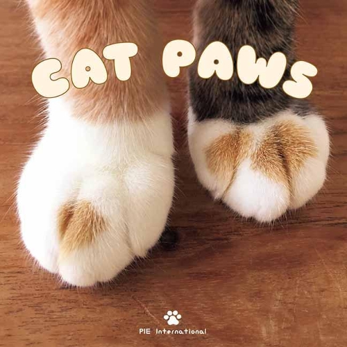 Паперова книга «Cat Paws» - фото №1