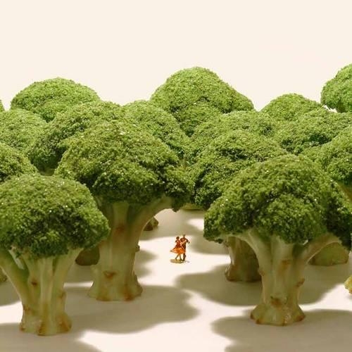 Бумажная книга «Small Wonders: Life Portrait in Miniature», автор Тацуя Танака - фото №1