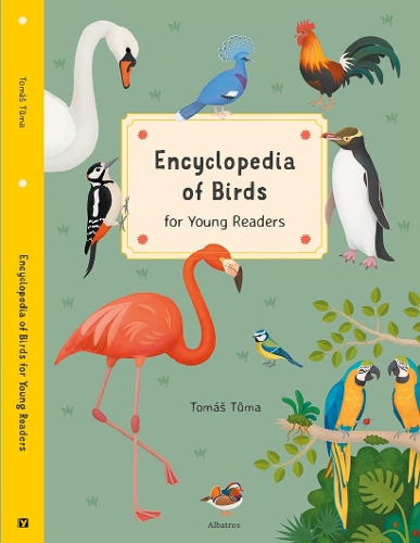 Бумажная книга «Encyclopedia of Birds: for Young Readers», автор Томаш Тума - фото №1
