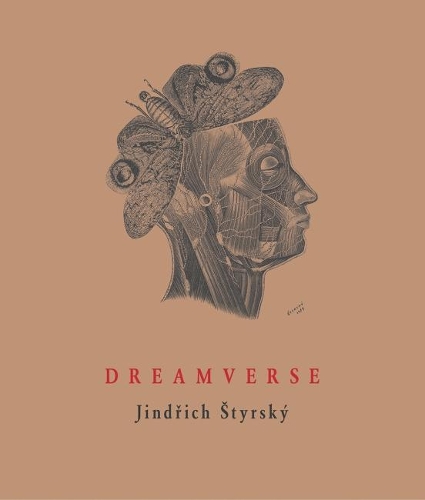 Паперова книга «Dreamverse», автор Індріх Стирський - фото №1