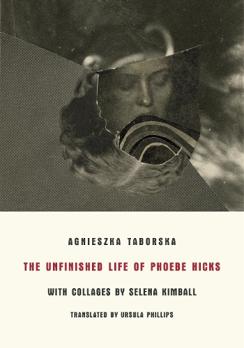 Бумажная книга «The Unfinished Life of Phoebe Hicks» - фото №1