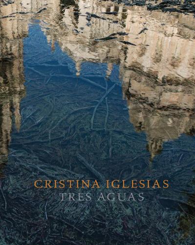 Бумажная книга «Cristina Iglesias: Tres Aguas», авторов Беатрис Коломина, Джеймс Лингвуд, Мария Уорнер - фото №1