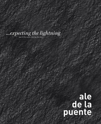 Бумажная книга «... Expecting the Lightning: Feet in the Water, Staring at the Stars», автор Але Де Ла Пуэнте - фото №1