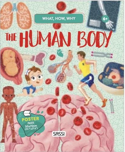 Паперова книга «What, How, Why. The Human Body», автор М. Серато - фото №1