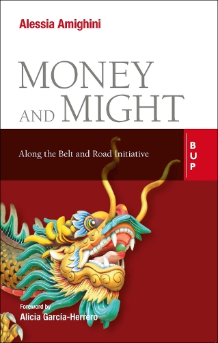 Паперова книга «Money and Might: Along the Belt and Road Initiative», автор Алессія Амігіні - фото №1