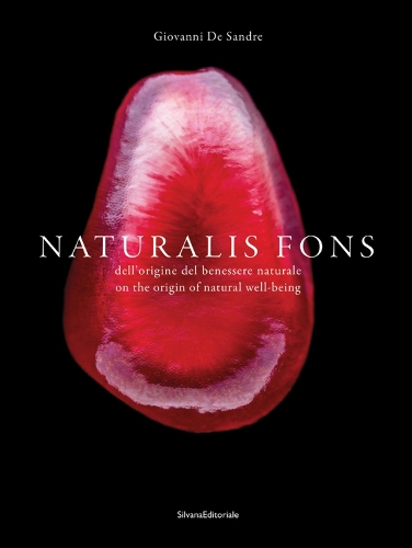 Бумажная книга «Naturalis fons: The Source of Natural Well-Being», автор Джованни Де Сандре - фото №1