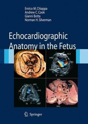 Паперова книга «Echocardiographic Anatomy in the Fetus», авторів Ендрю К. Кук, Енріко Кьяппа, Джанні Ботта, Норман Х. Сільверман - фото №1