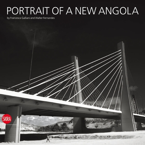 Бумажная книга «Portrait of a New Angola», автор Уолтер Фернандеш - фото №1