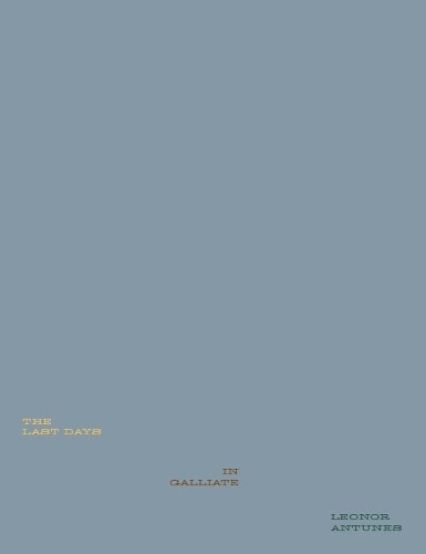 Бумажная книга «Leonor Antunes: The Last Days in Galliate», автор Роберта Тенкони - фото №1