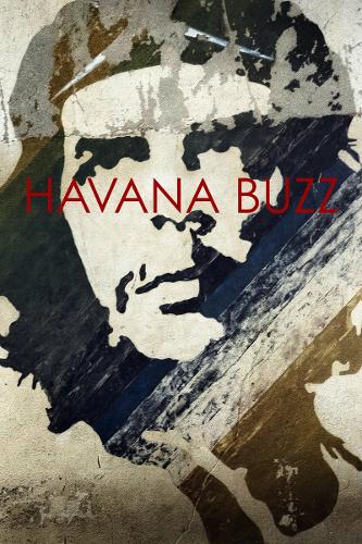 Бумажная книга «Havana Buzz», авторов Алессандро Космелли, Гайя Лайт - фото №1