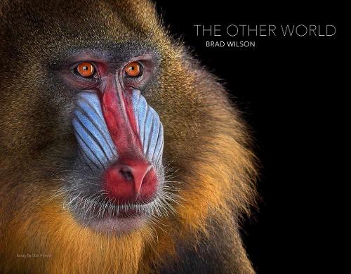  «The Other World: Animal Portraits» - фото №1