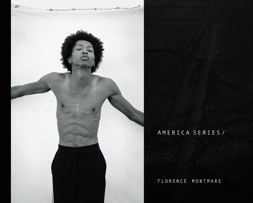 Бумажная книга «Florence Montmare. America Series», автор Флоренс Монтмар - фото №1