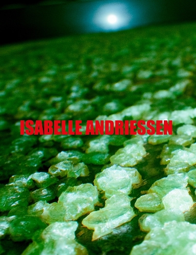 Бумажная книга «Isabelle Andriessen: DORM», автор Изабель Андриссен - фото №1