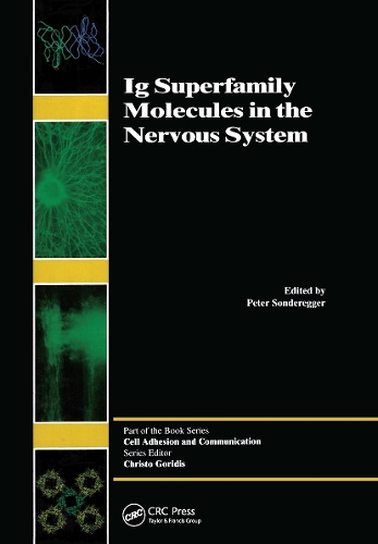 Бумажная книга «Ig Superfamily Molecules in the Nervous System», автор Питер Сондереггер - фото №1