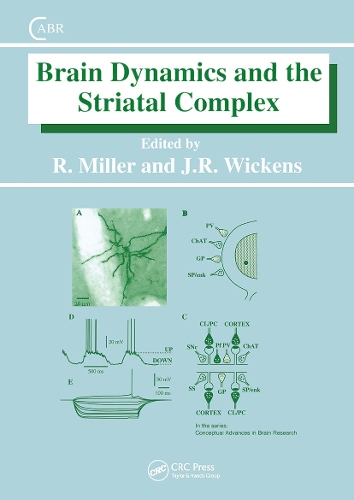 Бумажная книга «Brain Dynamics and the Striatal Complex», авторов Джеффри Викенс, Роберт Миллер - фото №1