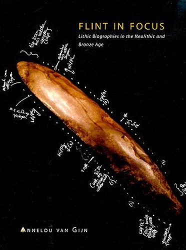 Паперова книга «Flint in Focus», автор А. Л. Ван Гійн - фото №1