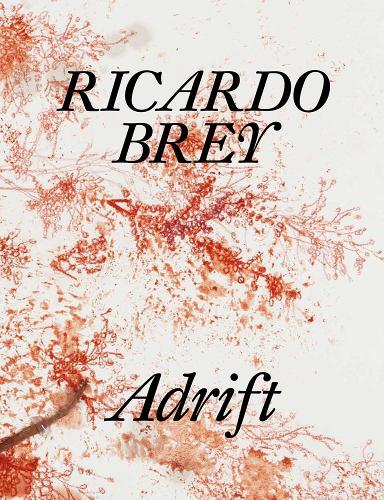 Бумажная книга «Ricardo Brey: Adrift», авторов Арье Хартог, Эрика Мойя Джеймс, Эван Моффитт, Джон Уэлчмен, Люк Дерике - фото №1