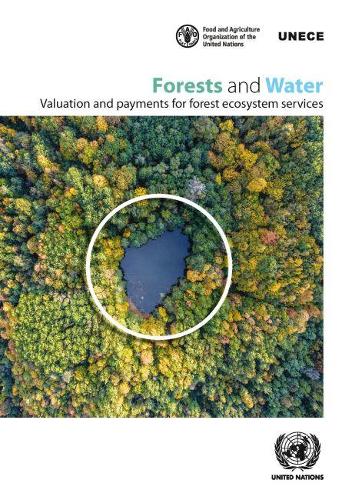 Паперова книга «Forests and water: valuation and payments for forest ecosystem services», автор Європейська економічна комісія ООН - фото №1