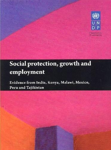 Паперова книга «Social protection, growth and employment», автор Програма розвитку ООН - фото №1
