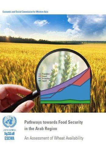 Бумажная книга «Pathways towards food security in the Arab region: an assessment of wheat availability», автор Департамент по экономическим и социальным вопросам ООН - фото №1