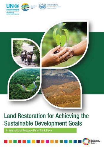 Паперова книга «Land restoration for achieving the sustainable development goals: an international resource panel think piece», автор Джеффрі Е. Херрік - фото №1