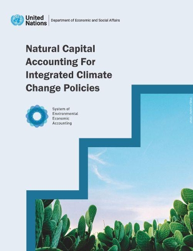 Бумажная книга «Natural capital accounting for integrated climate change policies», автор Департамент по экономическим и социальным вопросам ООН - фото №1