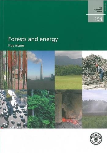 Паперова книга «Forests and Energy: Key Issues», авторів Джеремі Бродхед, Вульф Кілльманн - фото №1