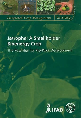 Паперова книга «Jatropha: A Smallholder Bioenergy Crop. The Potential for Pro-Poor Development», авторів Небамбі Луталадіо, Річард Бріттейн - фото №1