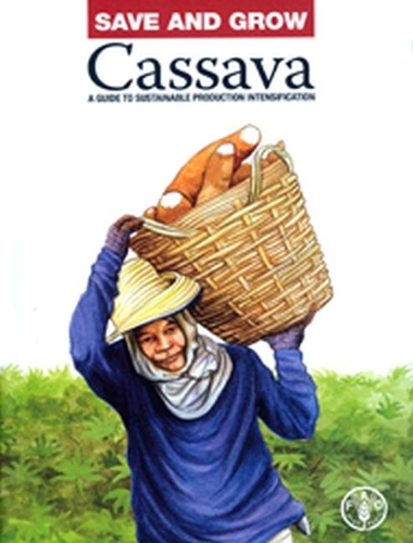 Паперова книга «Save and grow: cassava, a guide to sustainable production intensification», автор Продовольча та сільськогосподарська організація ООН - фото №1