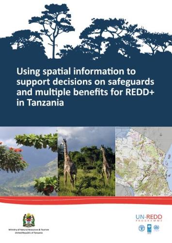 Паперова книга «Using spatial information to support decisions on safeguards and multiple benefits for REDD+ in Tanzania», автор Лізен Рунстен - фото №1