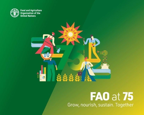 Бумажная книга «FAO at 75: grow, nourish, sustain. Together», автор Продовольственная и сельскохозяйственная организация ООН - фото №1