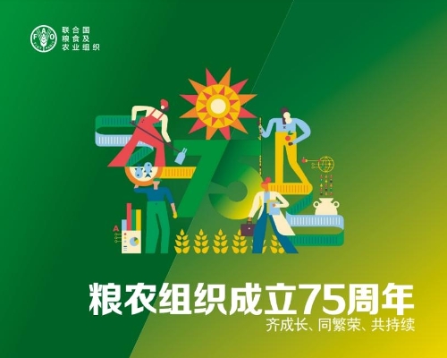 Паперова книга «FAO at 75 (Chinese Edition)», автор Продовольча та сільськогосподарська організація ООН - фото №1