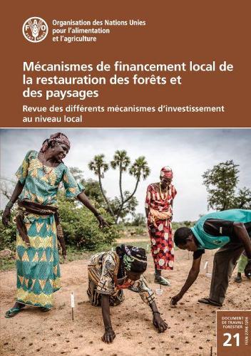 Paper book «Mécanismes de financement local de la restauration des forêts et des paysages: Revue des différents mécanismes d'investissement au niveau local», authors C. Besacier, L. Garrett, M. Iweins, S. Shames - фото №1