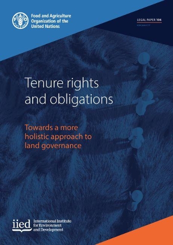Паперова книга «Tenure rights and obligations: towards a more holistic approach to land governance», автор Лоренцо Котула - фото №1