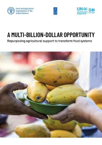 Бумажная книга «A multi-billion-dollar opportunity: re-purposing agricultural support to transform food systems», автор Продовольственная и сельскохозяйственная организация ООН - фото №1