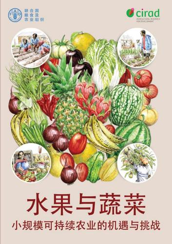 Паперова книга «Fruit and Vegetables (Chinese Edition): Opportunities and Challenges for SmallScale Sustainable Farming», автор Продовольча та сільськогосподарська організація ООН - фото №1