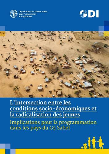 Бумажная книга «L'intersection entre les conditions socio-économiques et la radicalisation des jeunes: Implications pour la programmation dans les pays du G5 Sahel», авторов А Аллен, A. МакКала, Л. Мэйхью, С. Эль-Тарабулси-Маккарти, С. Левайн - фото №1