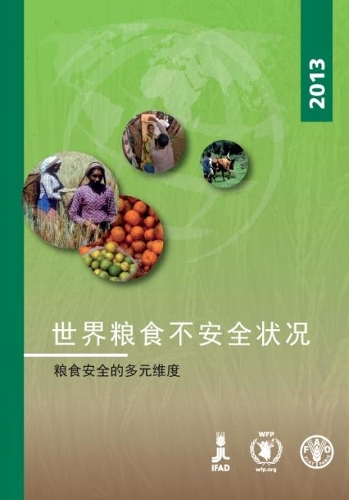 Бумажная книга «The State of Food Insecurity in the World 2013 (Chinese): The Multiple Dimensions of Food Security», автор Продовольственная и сельскохозяйственная организация ООН - фото №1