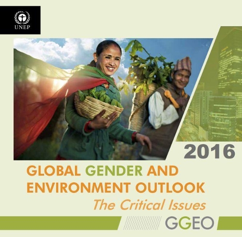 Паперова книга «Global gender and environment outlook 2016: the critical issues», автор Програма ООН з довкілля - фото №1