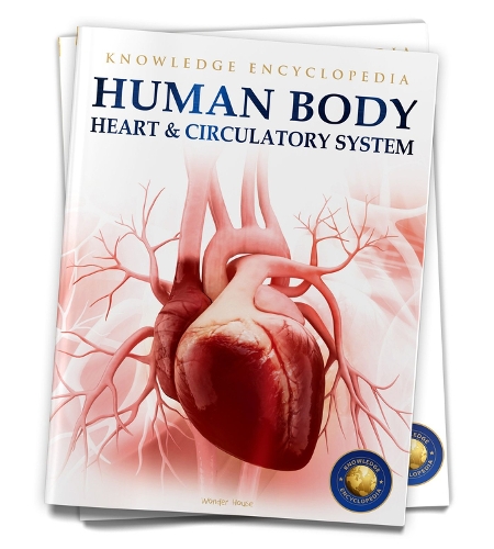 Paper book «Human Body: Heart and Circulatory System», author Wonder House Books - фото №1